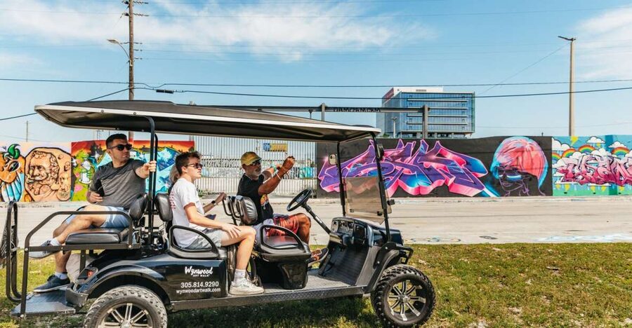 Wynwood Art District 1-Hour Street Art Tour by Golf Cart - The opening stop puts the murals in context