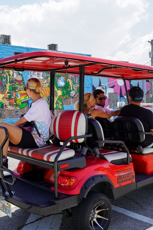 Wynwood Art District 1-Hour Wynwood Buggies Street Art Tour - Is $45 a fair price?