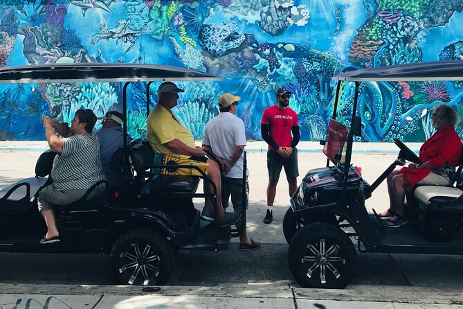 Wynwood Graffiti Golf Cart Small-Group Tour - How the cart ride feels, and who it suits