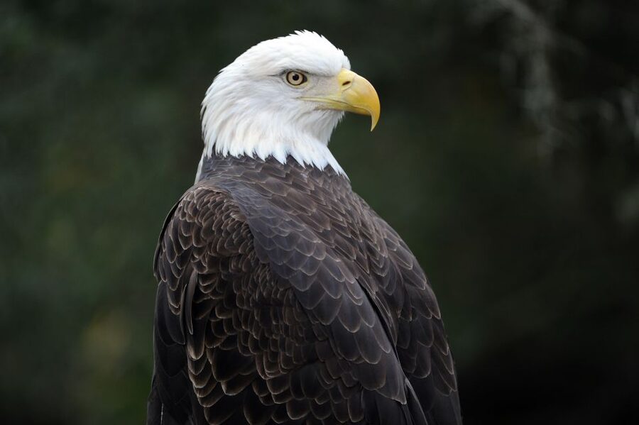Zoo Miami: General Admission Ticket - Zoo Miami at a glance
