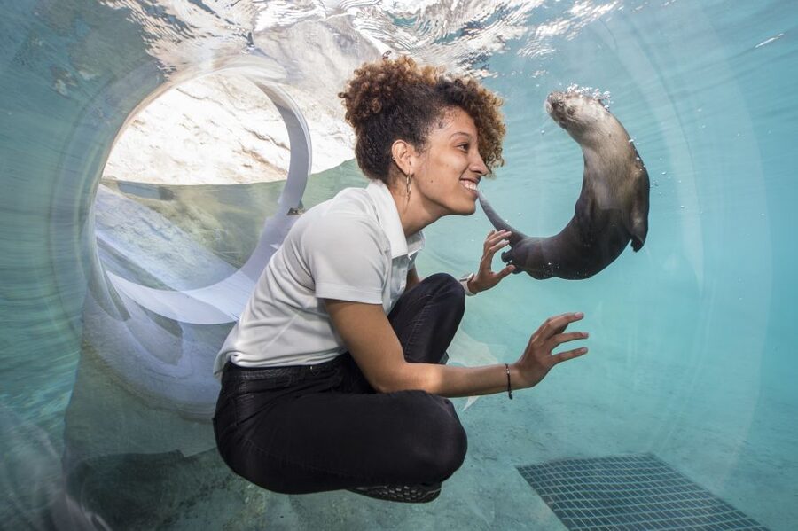 Zoo Miami: General Admission Ticket - Start with a plan, not a sprint