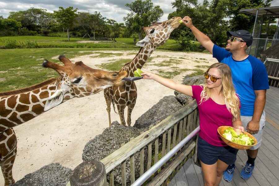 Zoo Miami: General Admission Ticket - Is the $27 ticket good value?