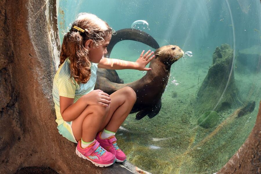Zoo Miami: General Admission Ticket - Who should book Zoo Miami?