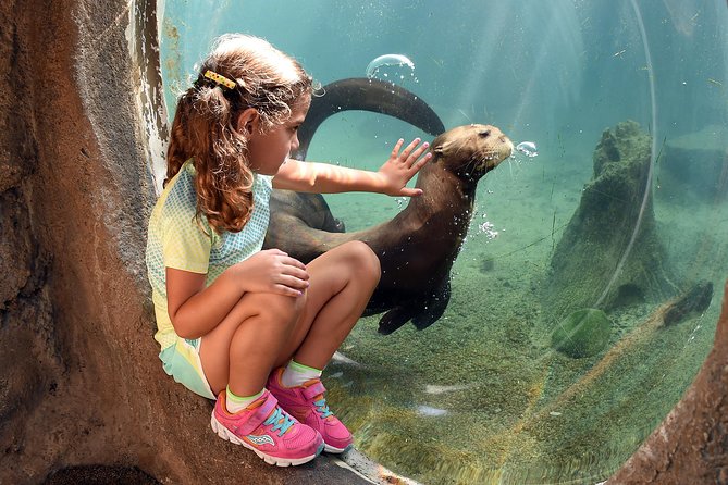 Zoo Miami Ticket with Optional Upgrade - From the entrance to the first habitats