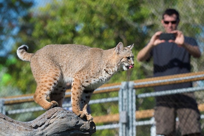 Zoo Miami Ticket with Optional Upgrade - Amazon and Beyond: rainforest, snakes, and fish