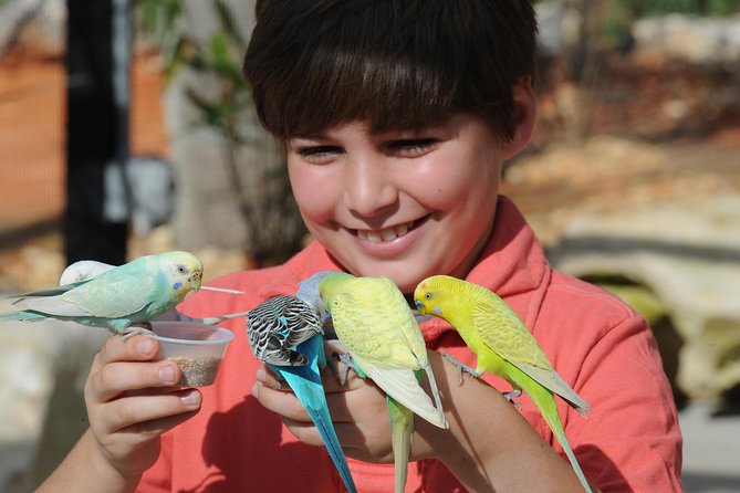 Zoo Miami Ticket with Optional Upgrade - Food, drinks, and animal feedings
